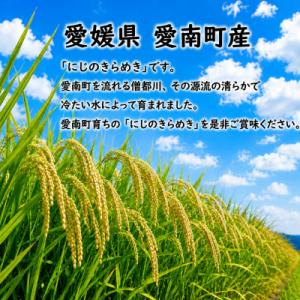 ふるさと納税 愛南町 【先行予約】新米 にじの...の詳細画像1