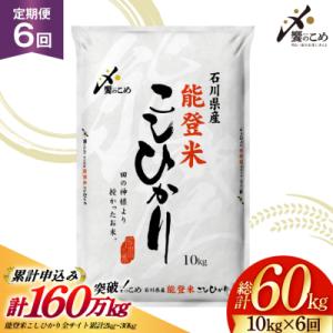 【さとふる限定】 米 定期便 能登米 こしひかり 10kg 6回 総計60kg 38601407