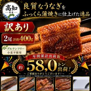 うなぎの蒲焼き人気 計400g 2尾 訳あり 国産 魚介類 加工品 海産物 商品 Sfb-0228