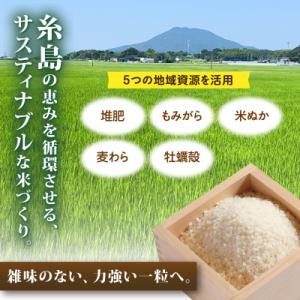 ふるさと納税 糸島市 にじのきらめき 白米 1...の詳細画像1
