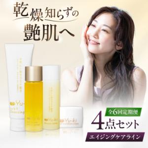 ふるさと納税 糸島市 【全6回定期便】エイジングケアライン 4点セット[AHJ036]