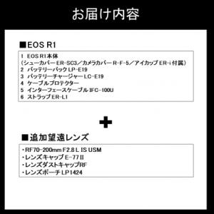 ふるさと納税 国東市 キヤノンミラーレスカメラ...の詳細画像3