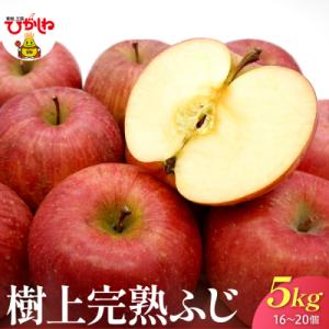 ふるさと納税 東根市 【2026年産】 樹上完熟...の商品画像