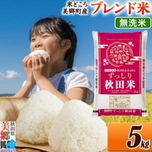ふるさと納税 美郷町 ブレンド米【無洗米】精米 ...の商品画像