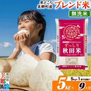 ふるさと納税 美郷町 《定期便9ヶ月》ブレンド米【無洗米】精米 5kg(5kg×1袋)|01_ssn-010509m