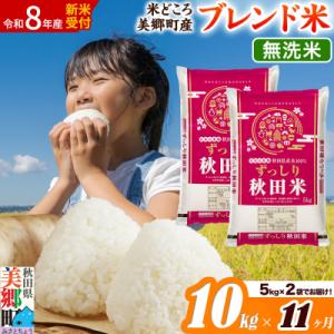 ふるさと納税 美郷町 新米受付 《定期便11ヶ月》ブレンド米【無洗米】精米 10kg|01_ssn-011011ms