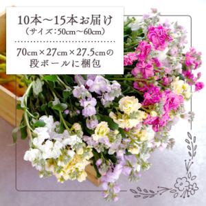 ふるさと納税 庄内町 【R9.1月発送】庄内町...の詳細画像1