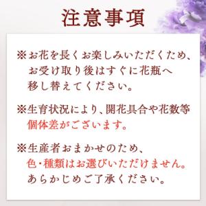 ふるさと納税 庄内町 【R9.1月発送】庄内町...の詳細画像2