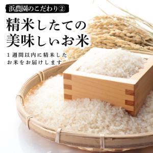 ふるさと納税 小松島市 【2026年9月順次発...の詳細画像2