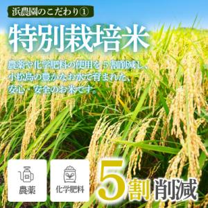 ふるさと納税 小松島市 【2026年9月順次発...の詳細画像1