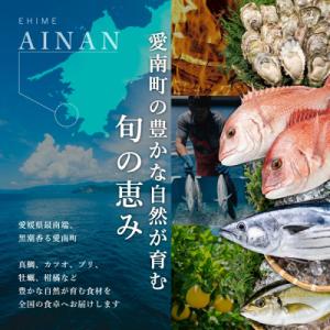 ふるさと納税 愛南町 先行予約 新米 令和8年...の詳細画像3