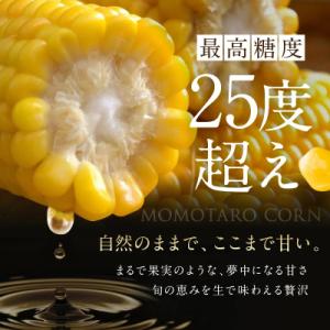 ふるさと納税 瀬戸内市 最高糖度25度超え瀬戸...の詳細画像1