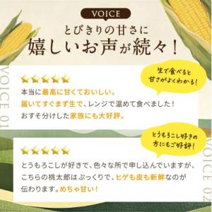 ふるさと納税 瀬戸内市 最高糖度25度超え瀬戸...の詳細画像3