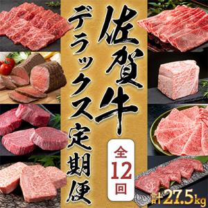 ふるさと納税 有田町 【発送月固定定期便】佐賀牛デラックス定期便毎月届く全12回