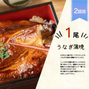 ふるさと納税 印南町 【毎月定期便】魚鶴商店が...の詳細画像2