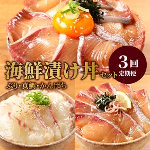 ふるさと納税 延岡市 【毎月定期便】日向灘 海鮮漬け丼 バラエティ(延岡市)全3回