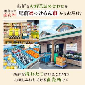 ふるさと納税 鹿島市 【毎月定期便】肥前の国の...の詳細画像1