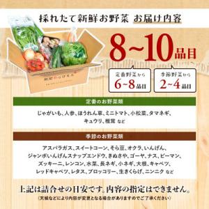 ふるさと納税 鹿島市 【毎月定期便】肥前の国の...の詳細画像3