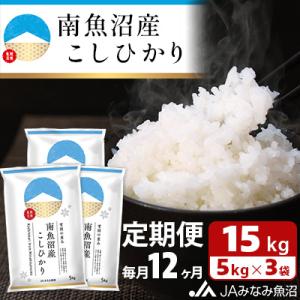 ふるさと納税 南魚沼市 【毎月定期便】南魚沼産こ...の商品画像