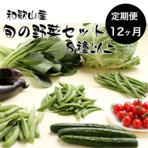 【毎月定期便】旬の新鮮野菜セット 8種以上(和歌山産)全12回