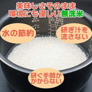 ふるさと納税 南魚沼市 【毎月定期便】≪無洗米...の詳細画像1