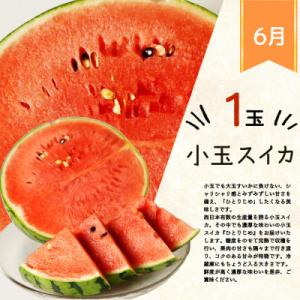 ふるさと納税 由良町 【発送月固定定期便】紀州...の詳細画像1