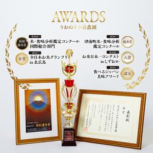 ふるさと納税 魚沼市 【毎月定期便】【無洗米】...の詳細画像2