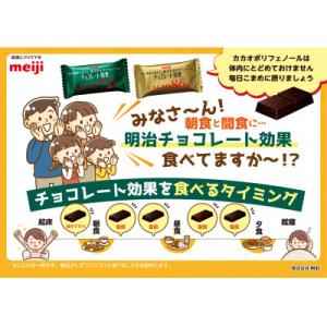 ふるさと納税 高槻市 【毎月定期便】チョコレー...の詳細画像3