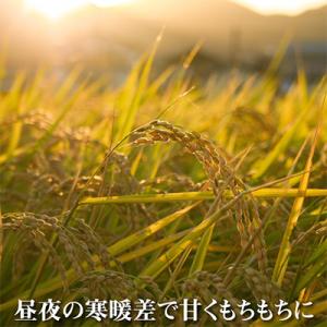 ふるさと納税 魚沼市 【毎月定期便】 農家直送...の詳細画像2