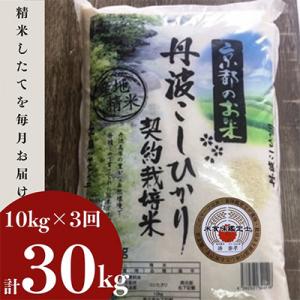 【毎月定期便】京都丹波産 お米 コシヒカリ 精米 10kg 米定期便 3ヶ月 全3回