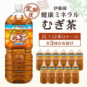 ふるさと納税 香取市 【毎月定期便】伊藤園 健康ミネラル麦茶2L 12本(2ケース)全3回