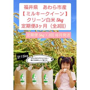 【毎月定期便】クリーン白米 ミルキークイーン 5キロ　全3回