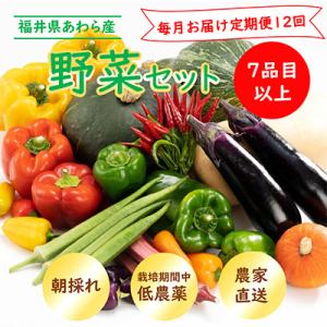 【毎月定期便】 農家直送 旬の野菜セット 7品目以上全12回