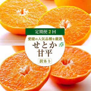 【発送月固定定期便】愛媛の人気2品種を堪能!せとか・甘平 食べ比べ(訳あり)全2回【H25-148】
