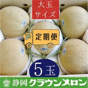 ふるさと納税 袋井市 【毎月定期便】クラウンメロン(白等級)大玉5玉・6ヵ月毎月お届け全6回