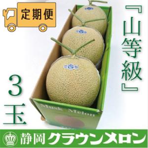 ふるさと納税 袋井市 【毎月定期便】クラウンメロ...の商品画像