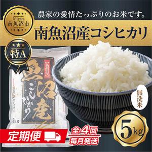 ふるさと納税 南魚沼市 【毎月定期便】無洗米 南魚沼産 コシヒカリ お米 5kg 精米 (美味しい炊...