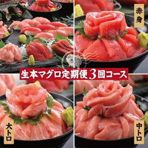 【毎月定期便】生本まぐろ【赤身・中トロ・大トロ】3種各150g全3回