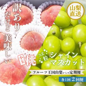 ふるさと納税 笛吹市 【発送月固定定期便】訳あり美味しい果物  小玉桃 粒シャインマスカット全2回｜y-sf