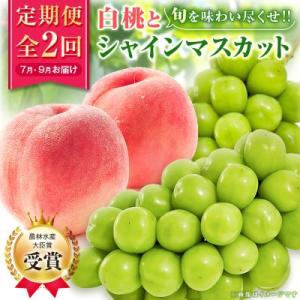 【発送月固定定期便】【農林水産大臣賞受賞!!】山梨の白桃とシャインマスカットの全2回　各1kg以上