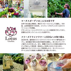 ふるさと納税 酒田市 【発送月固定定期便】リー...の詳細画像3