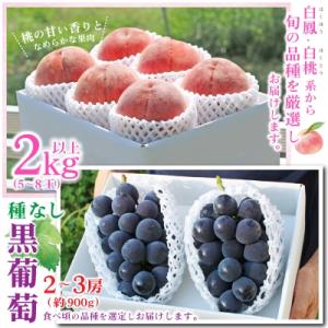 ふるさと納税 山梨市 【発送月固定定期便】20...の詳細画像1