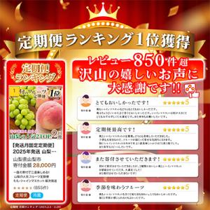 ふるさと納税 山梨市 【発送月固定定期便】20...の詳細画像1