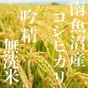 ふるさと納税 南魚沼市 【毎月定期便】【10K...の詳細画像2