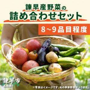 ふるさと納税 諫早市 【毎月定期便】諫早産野菜の詰め合わせ(8〜9品目)全6回｜y-sf