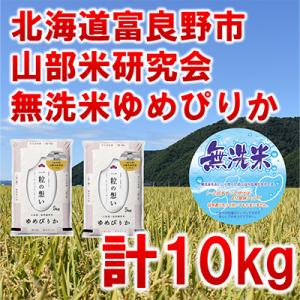 【毎月定期便】【特A受賞米】【無洗米】北海道富良野市産ゆめぴりか　精米10kg全6回