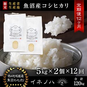 ふるさと納税 十日町市 【毎月定期便】魚沼産コシ...の商品画像