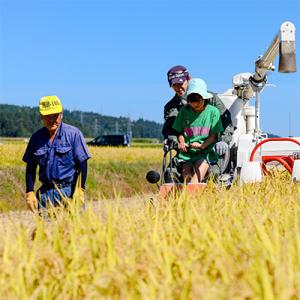 ふるさと納税 十日町市 【毎月定期便】魚沼産コ...の詳細画像2