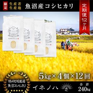 ふるさと納税 十日町市 【毎月定期便】魚沼産コシ...の商品画像
