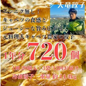 ふるさと納税 磐田市 【毎月定期便】【ニンニク不使用】天竜餃子 60個が毎月届く!いつでも手軽に美味...